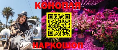 ALPHA PVP Малоярославец