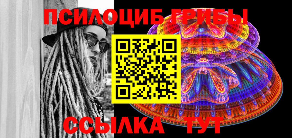 Псилоцибиновые грибы Psilocybine cubensis Всеволожск