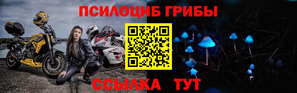 сколько стоит  Галлюциногенные грибы Psilocybe  Вход с VPN  Всеволожск 